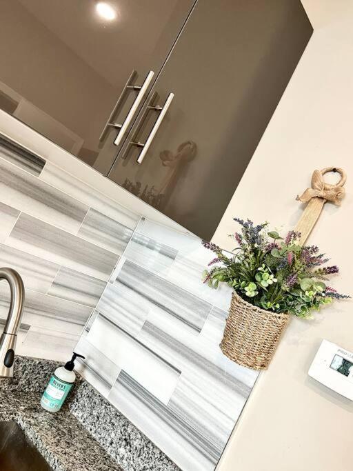 Apartment 501 Cozy And Comfy 1br In Center City